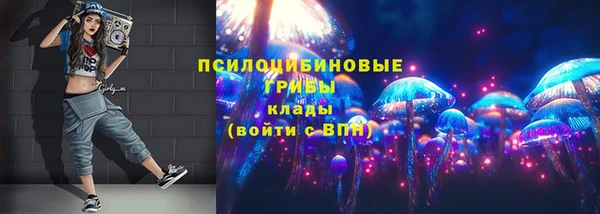 дмт Елизово