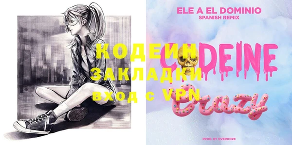 дмт Елизово