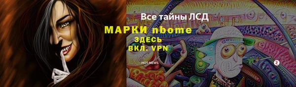 дмт Елизово