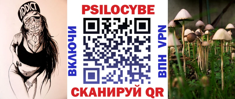 Галлюциногенные грибы Psilocybe  Купить  Чаплыгин 